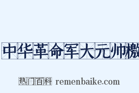 中华革命军大元帅檄是什么意思的图片